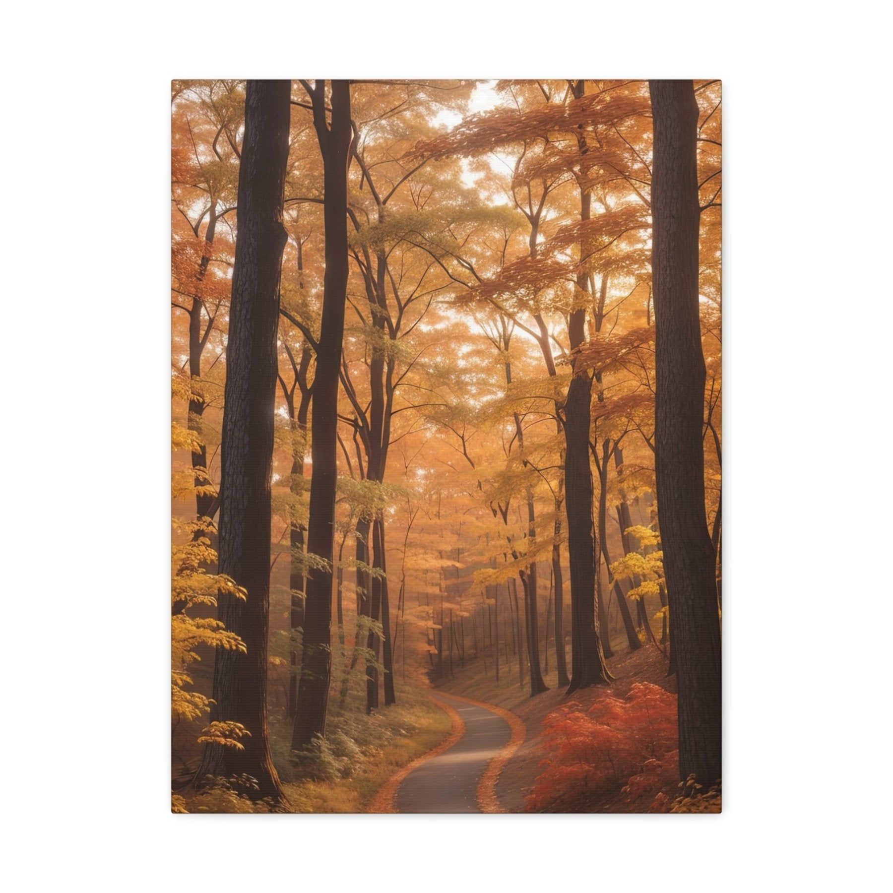 Canvas print of Forest scene in the season of Fall Autumn | Janlyn's Crafts