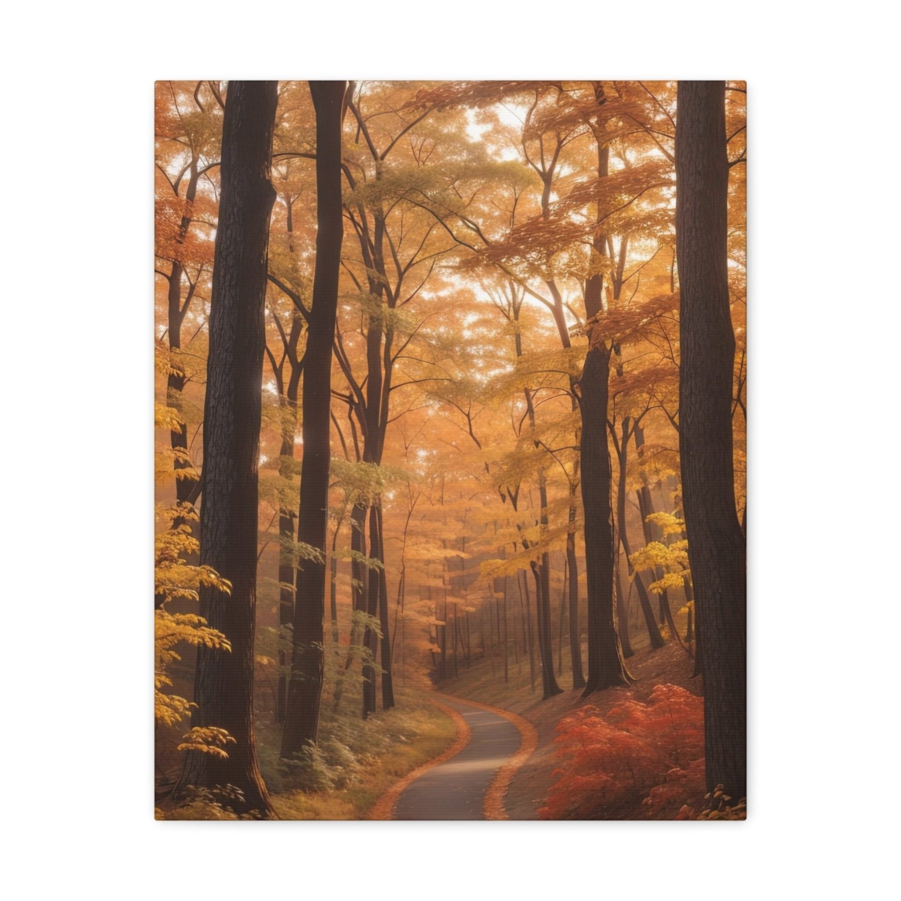 Canvas print of Forest scene in the season of Fall Autumn | Janlyn's Crafts