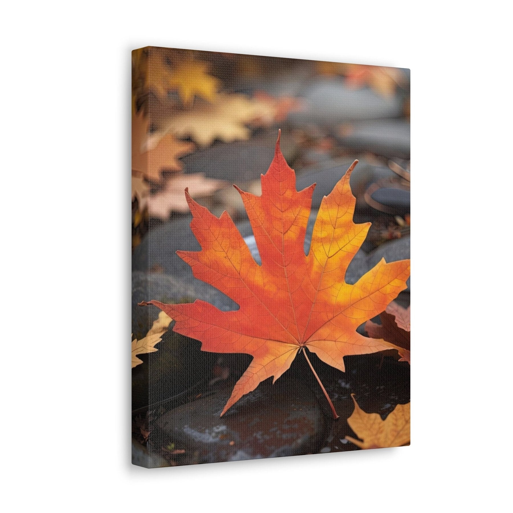 Canvas print of Forest scene in the season of Fall Autumn side view | Janlyn's Crafts