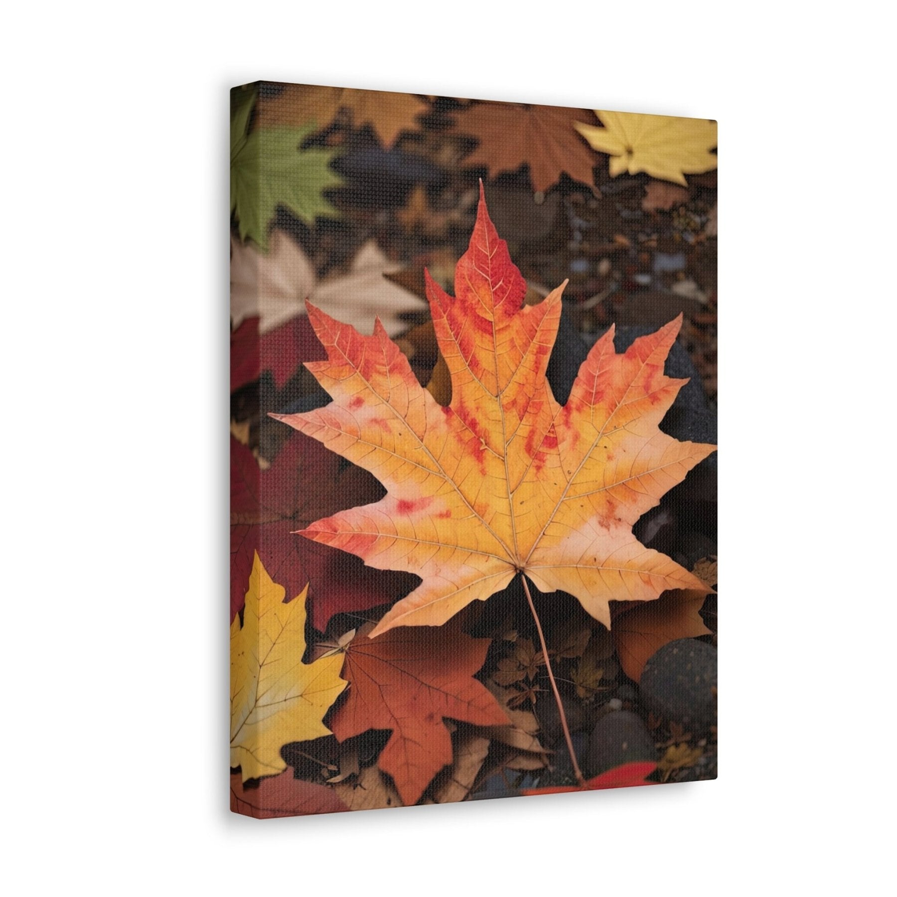 Canvas print of Forest scene in the season of Fall Autumn side view | Janlyn's Crafts