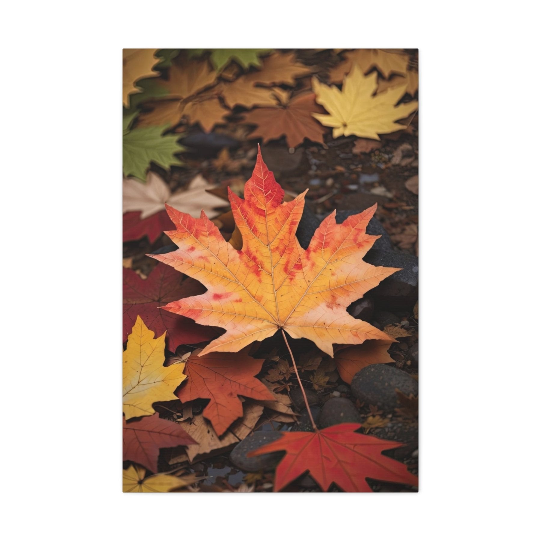 Canvas print of Forest scene in the season of Fall Autumn | Janlyn's Crafts