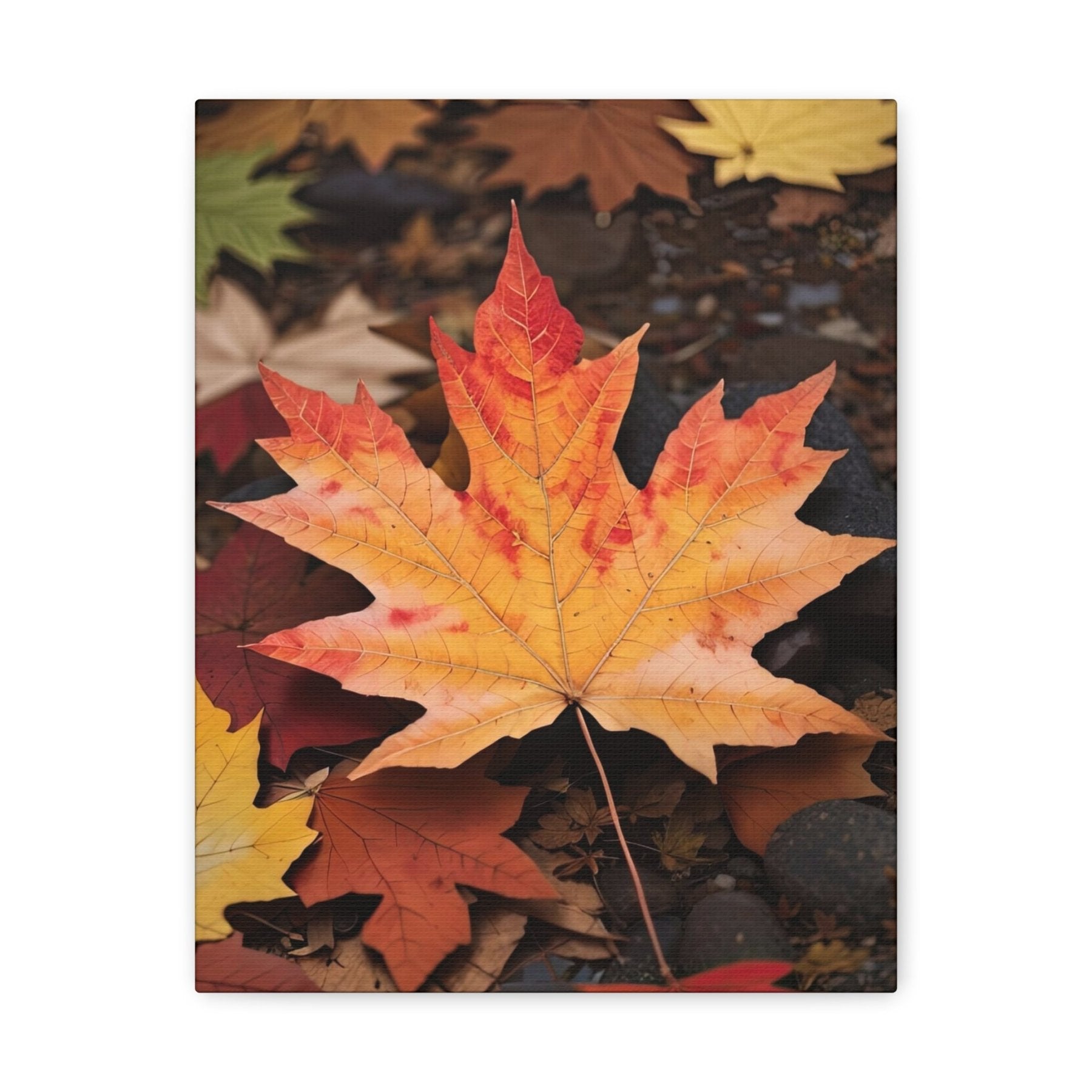 Canvas print of Forest scene in the season of Fall Autumn | Janlyn's Crafts