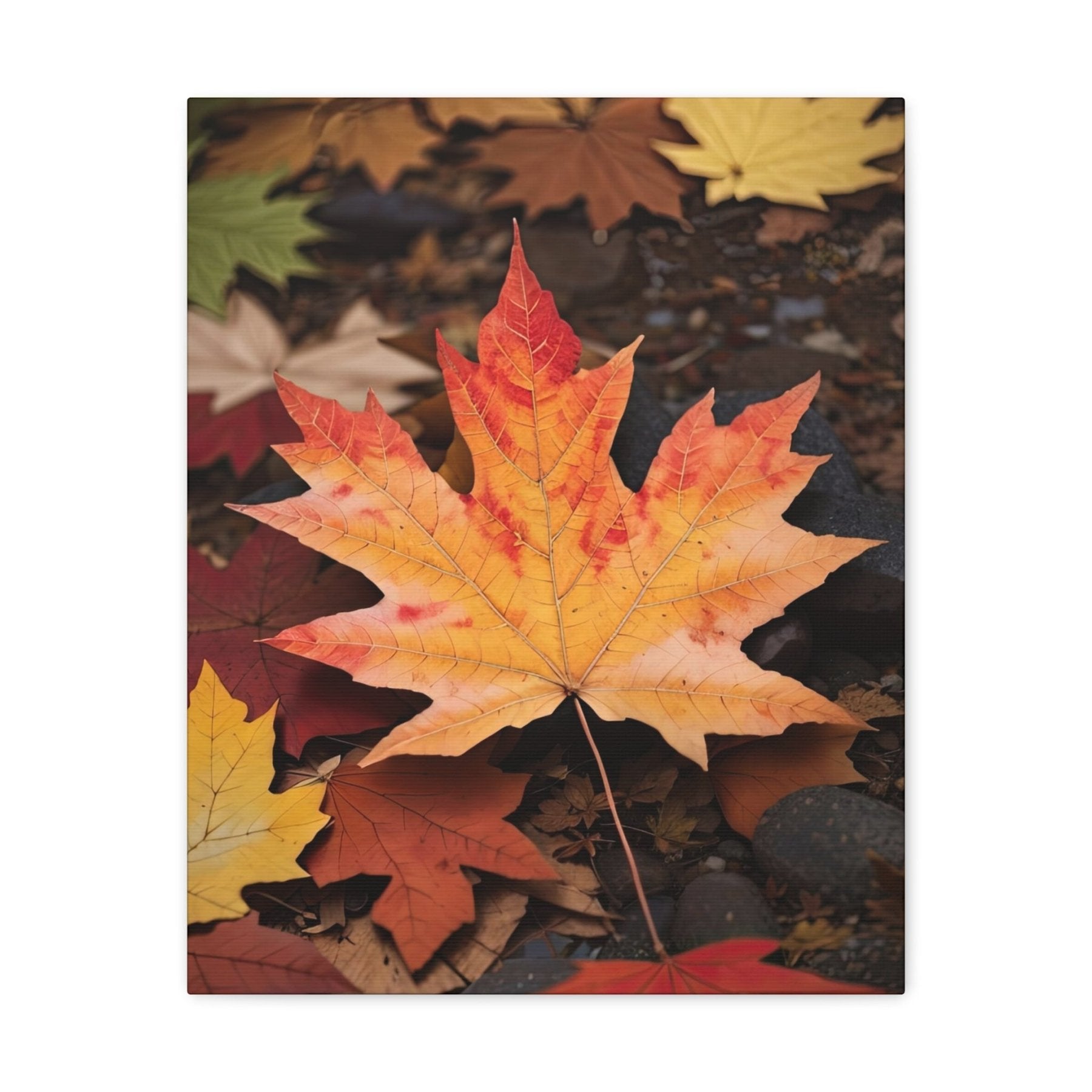 Canvas print of Forest scene in the season of Fall Autumn | Janlyn's Crafts