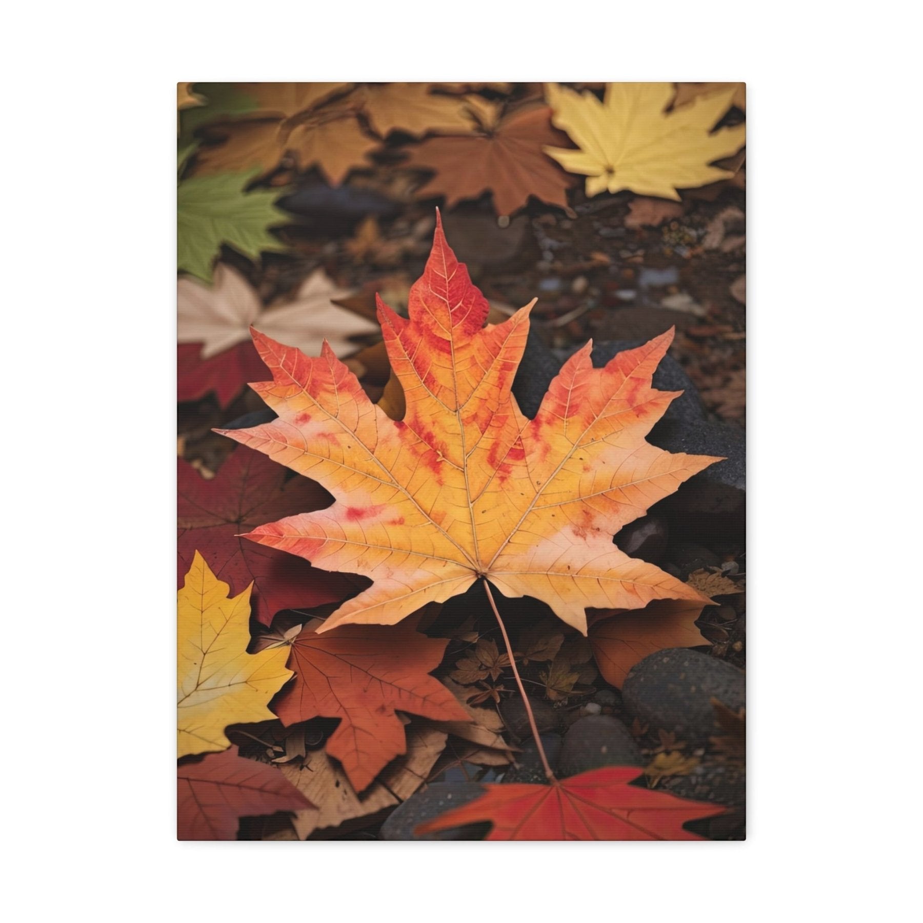 Canvas print of Forest scene in the season of Fall Autumn | Janlyn's Crafts