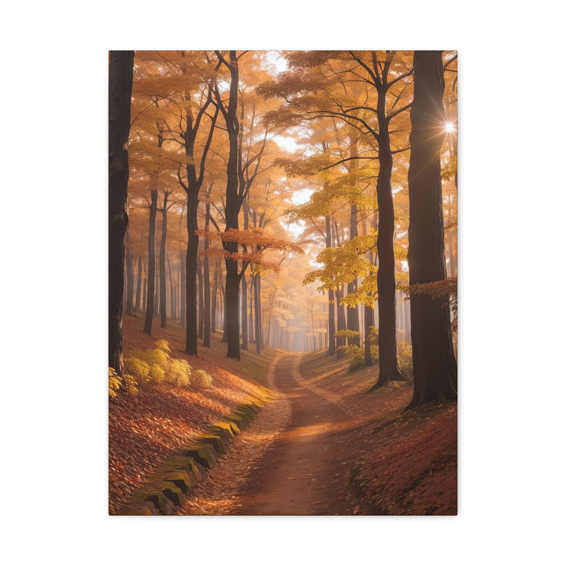 Canvas print of Forest scene in the season of Fall Autumn | Janlyn's Crafts