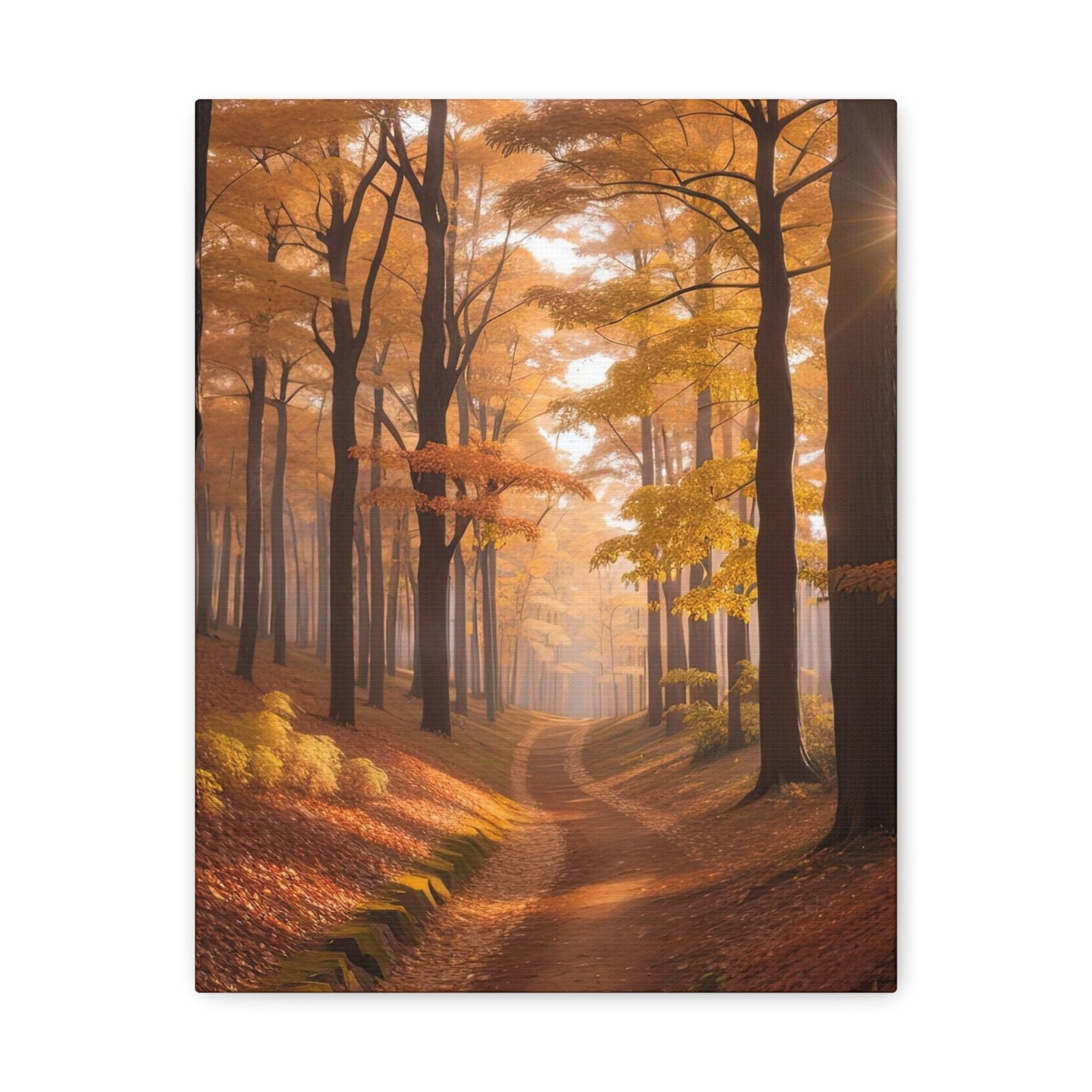 Canvas print of Forest scene in the season of Fall Autumn | Janlyn's Crafts