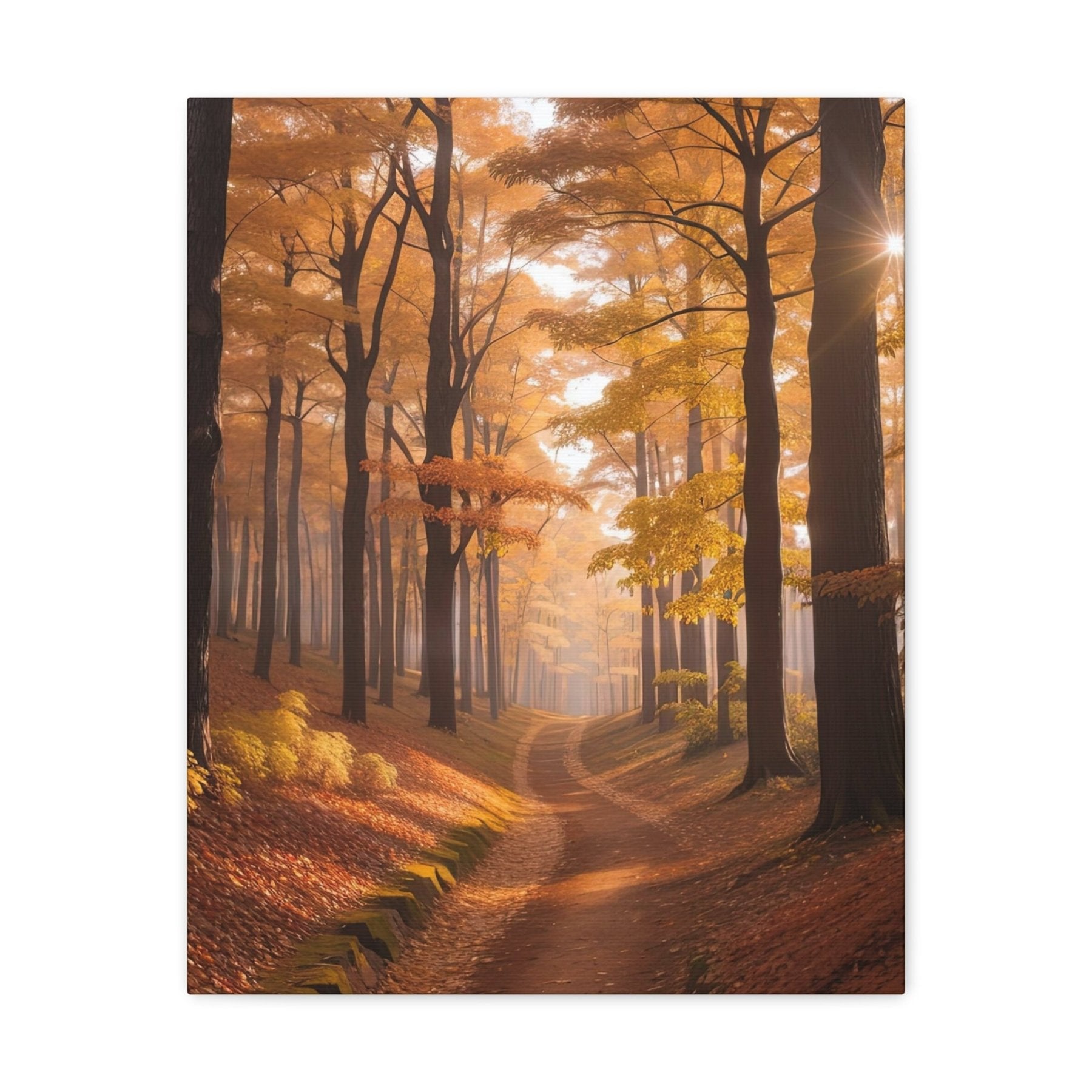 Canvas print of Forest scene in the season of Fall Autumn | Janlyn's Crafts