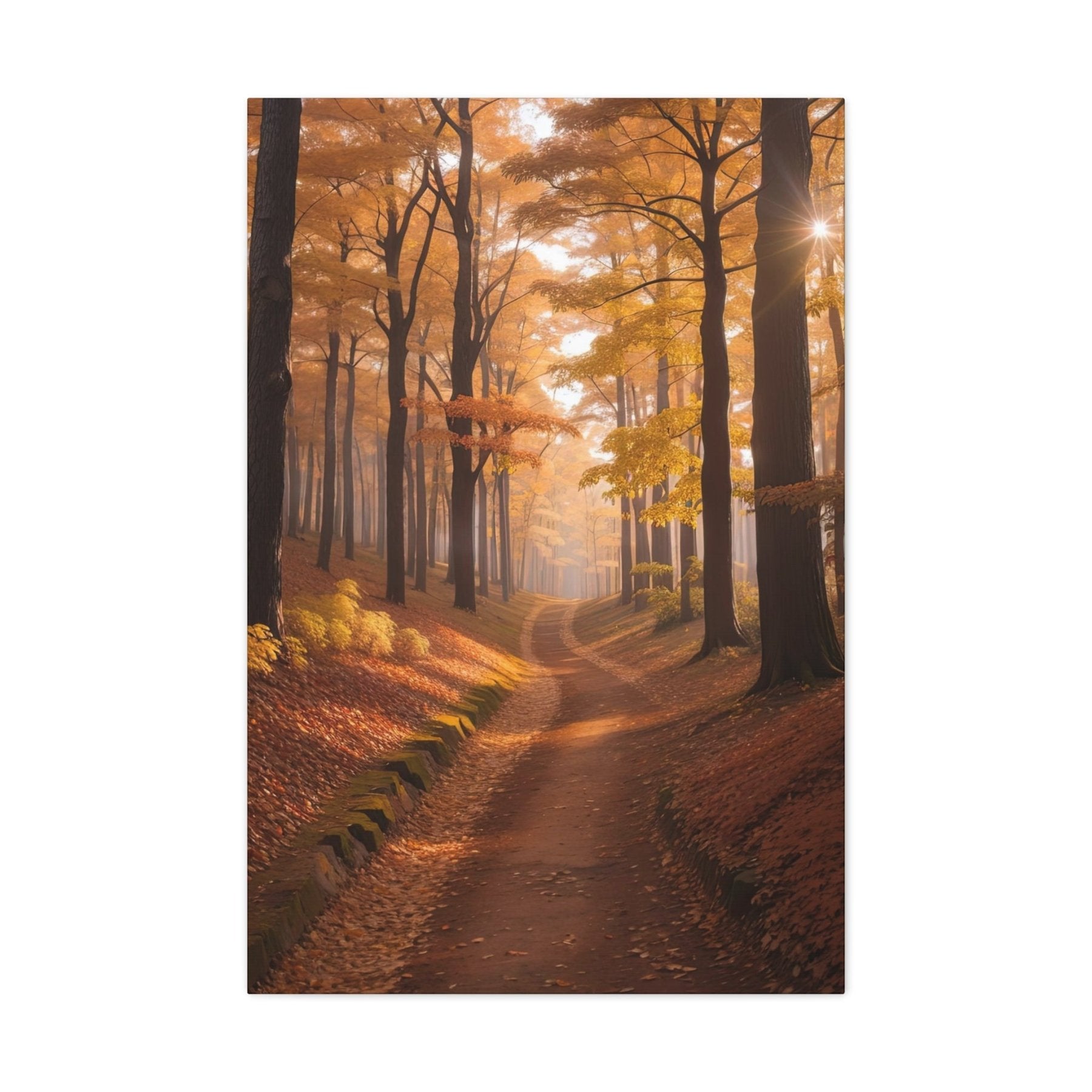 Canvas print of Forest scene in the season of Fall Autumn | Janlyn's Crafts