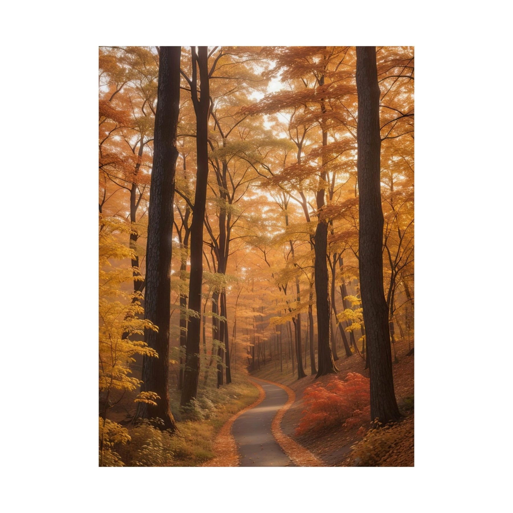 Poster print of Forest scene in the season of Fall Autumn | Janlyn's Crafts