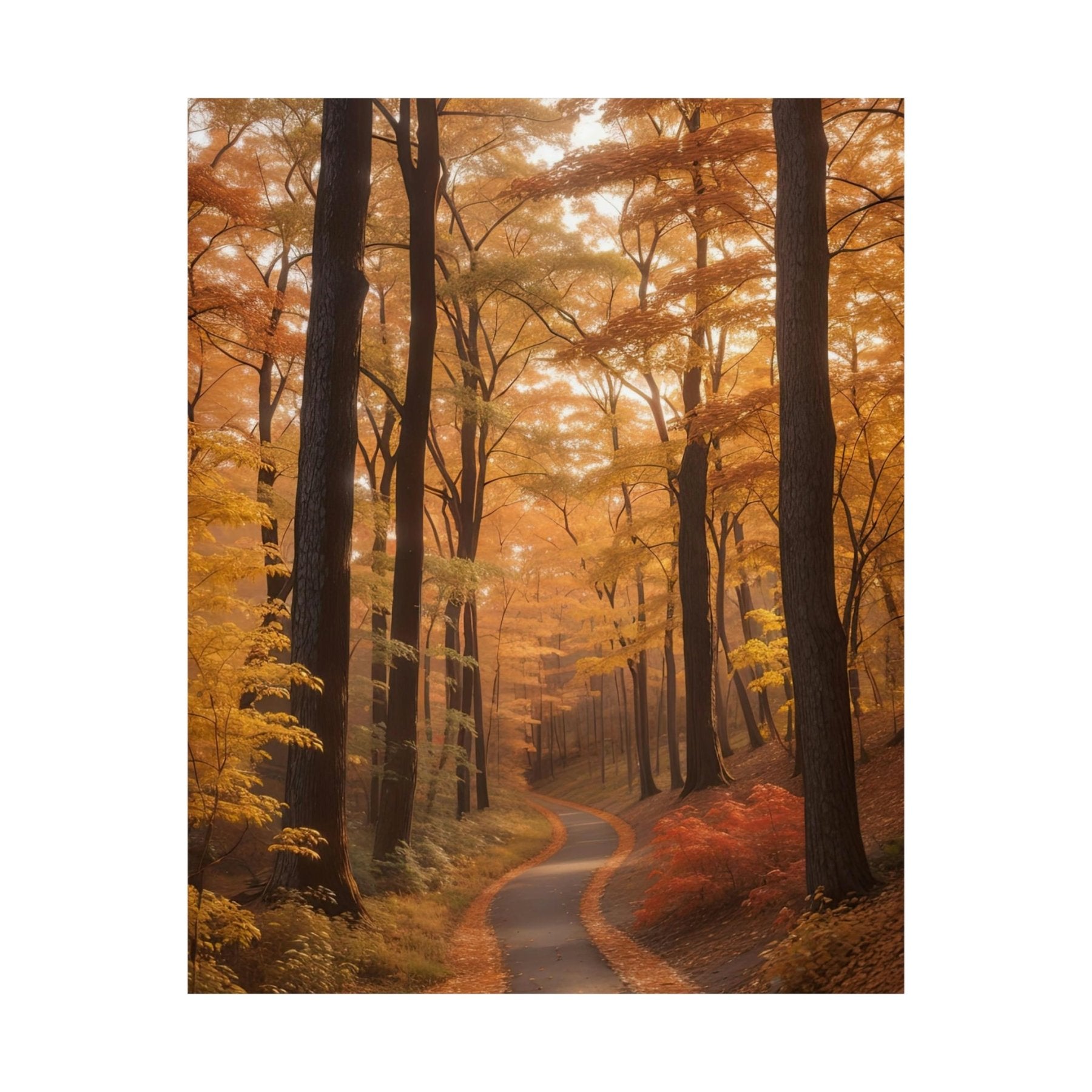 Poster print of Forest scene in the season of Fall Autumn | Janlyn's Crafts