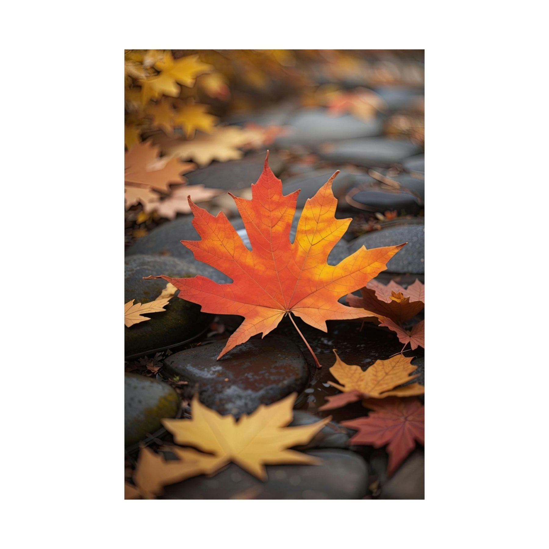 Poster print of leaf in the season of Fall Autumn | Janlyn's Crafts