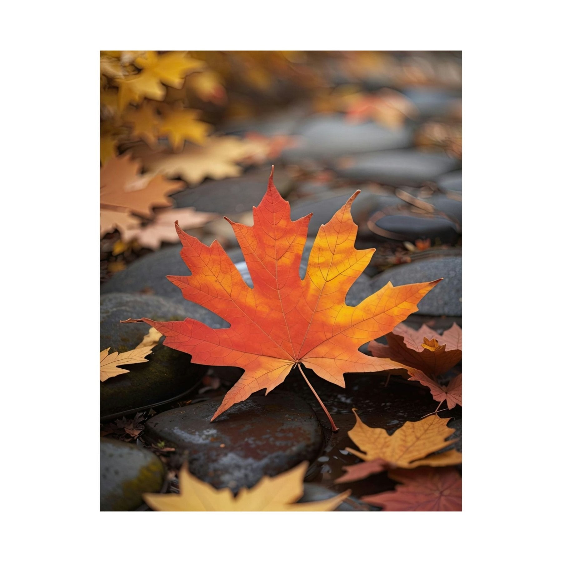 Poster print of leaf in the season of Fall Autumn | Janlyn's Crafts