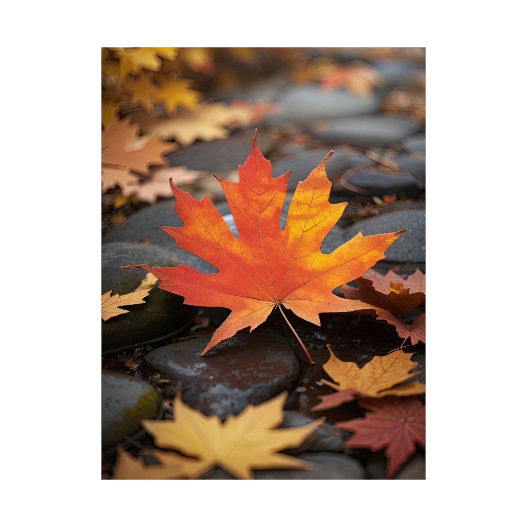 Poster print of leaf in the season of Fall Autumn | Janlyn's Crafts