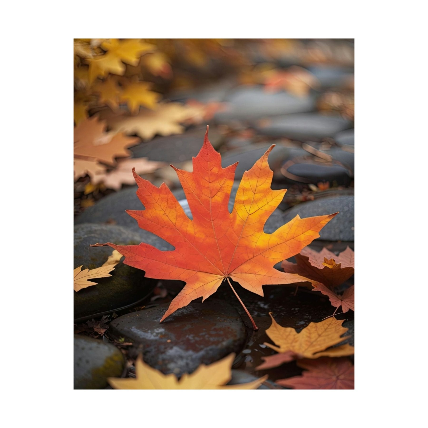 Poster print of leaf in the season of Fall Autumn | Janlyn's Crafts