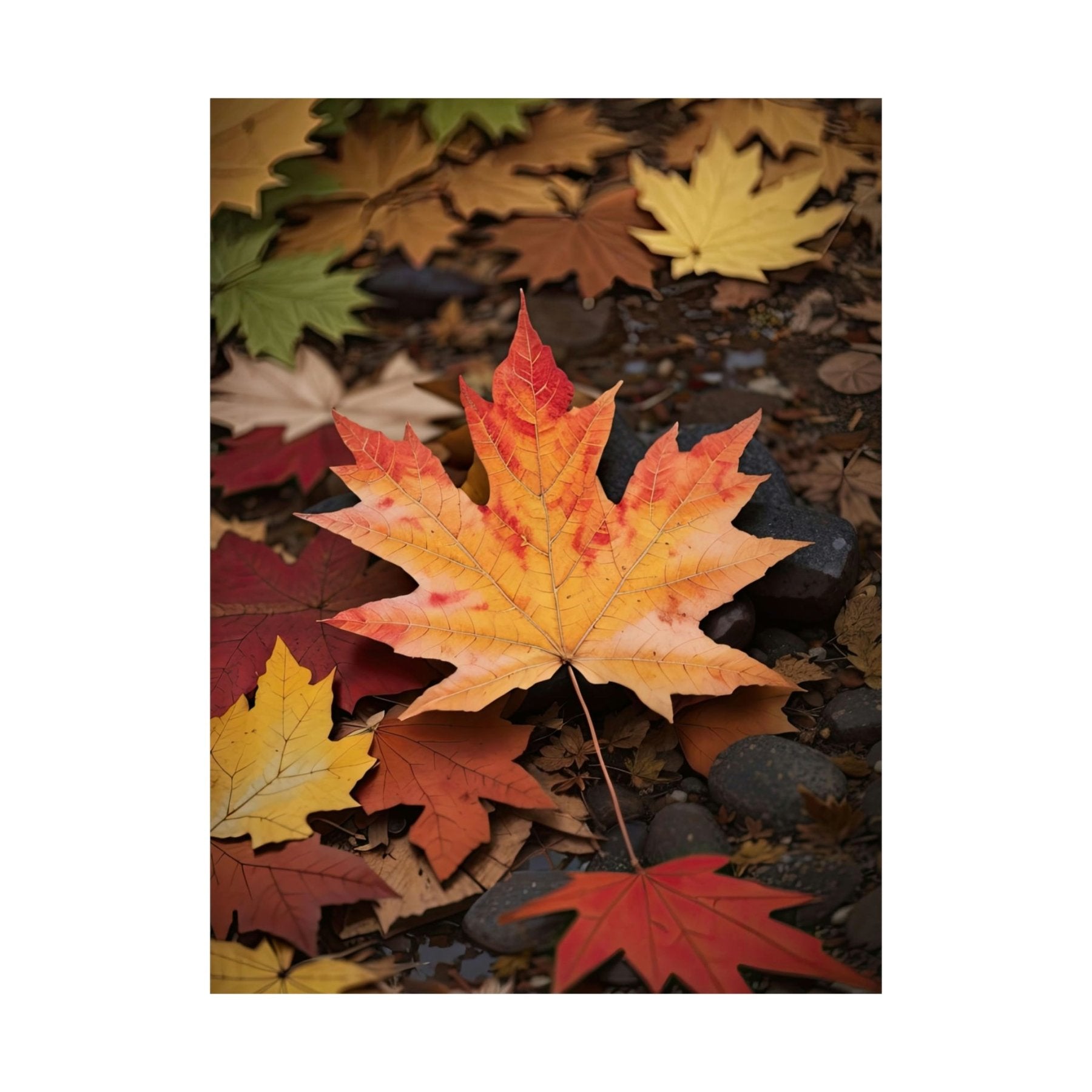 Poster print of leaf in the season of Fall Autumn | Janlyn's Crafts