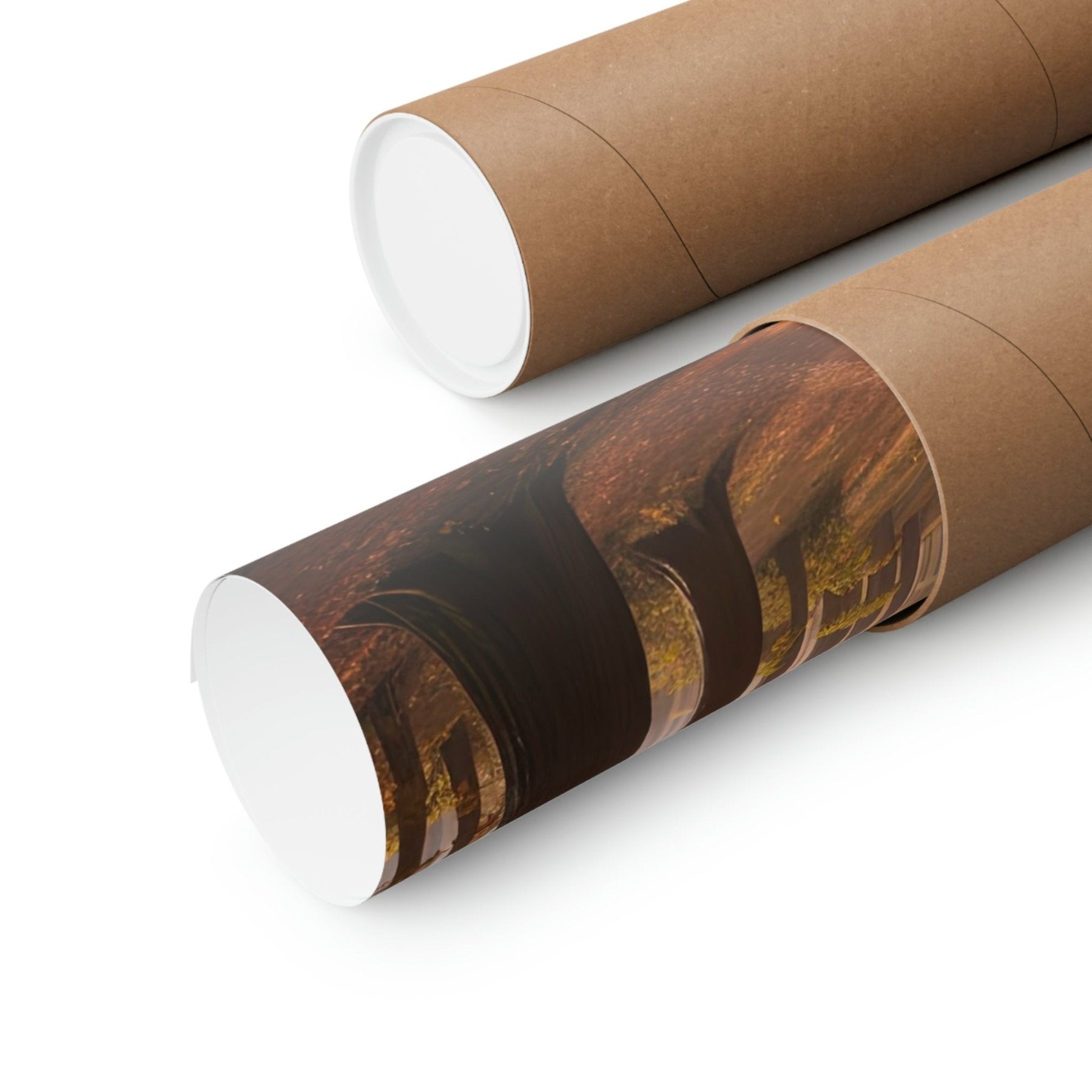 Poster print of Forest scene in the season of Fall Autumn shown as rolled | Janlyn's Crafts